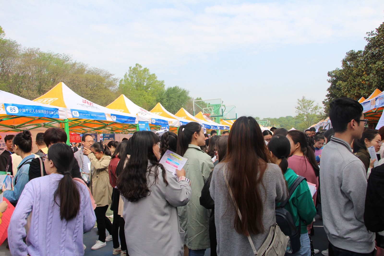 2019041520443345.jpg 2019041520443345.jpg