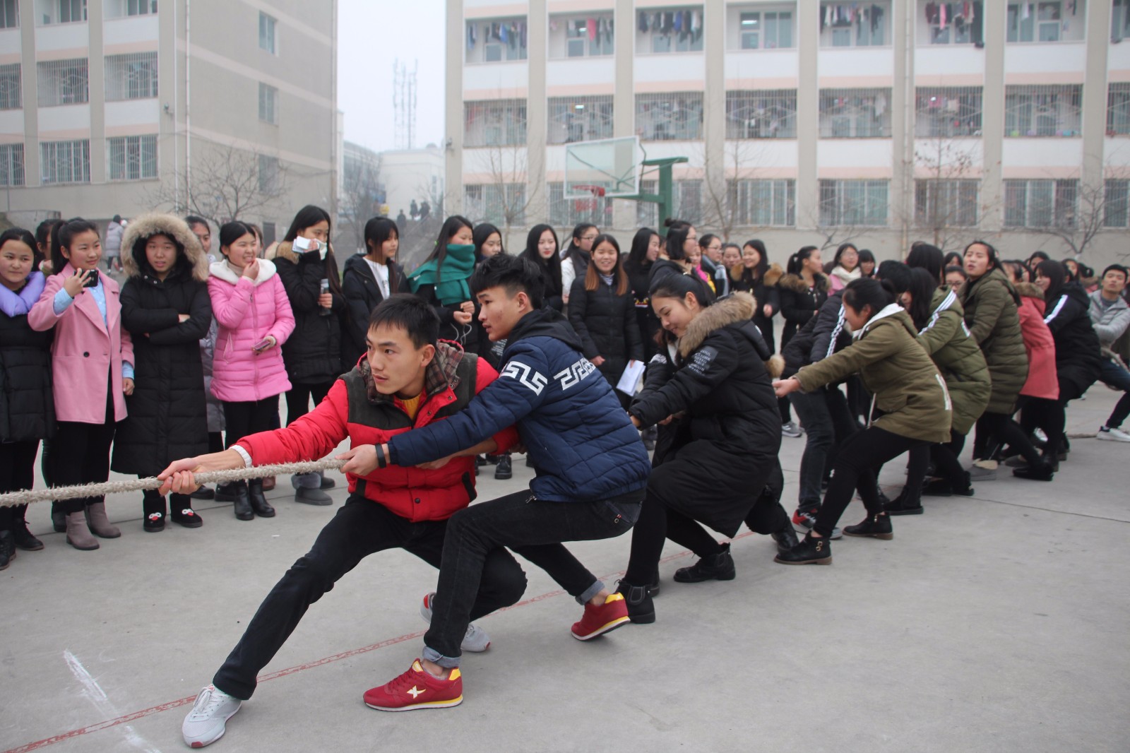 2017060612583692.jpg 2016122109464395.jpg