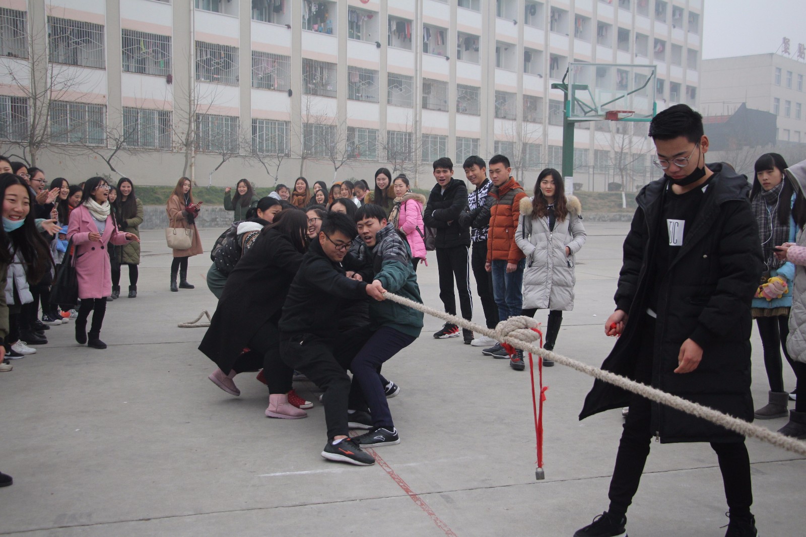 2017060612585510.jpg 2016122109470248.jpg