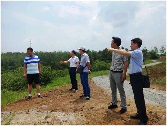 2018080617404413.png image.png